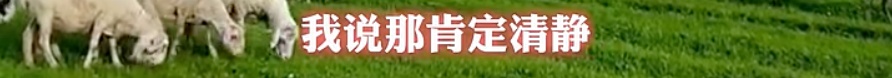 “月薪1.6万招放羊工”走红，老板发声→