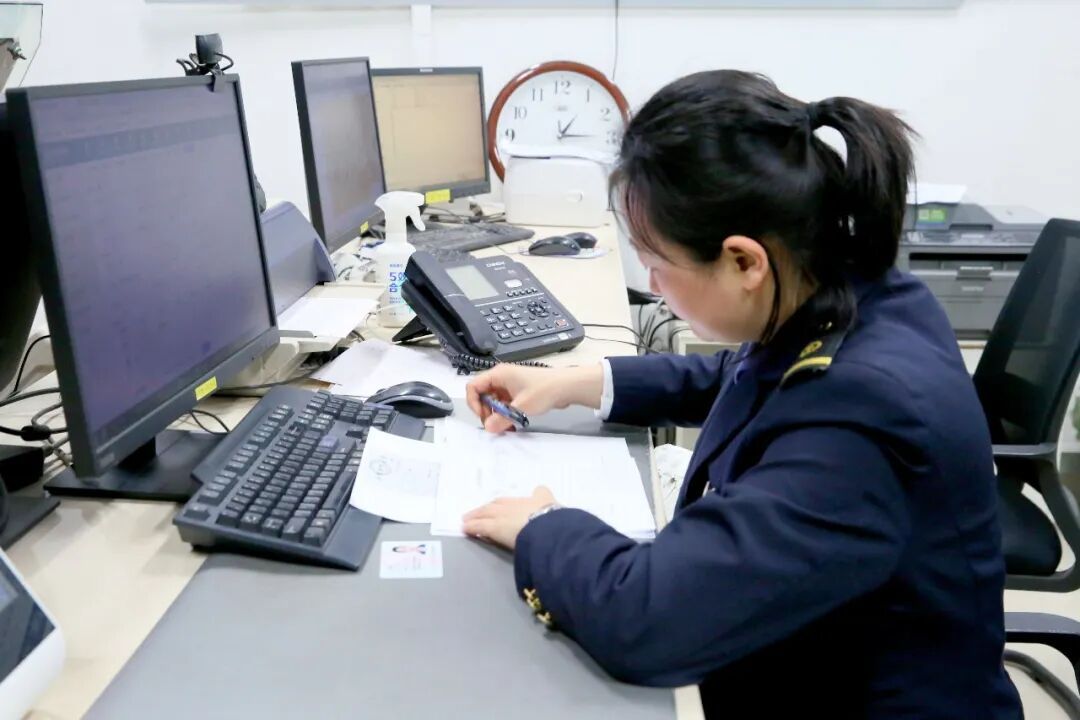 车厢里来了小猫咪！它们怎样“坐”高铁？