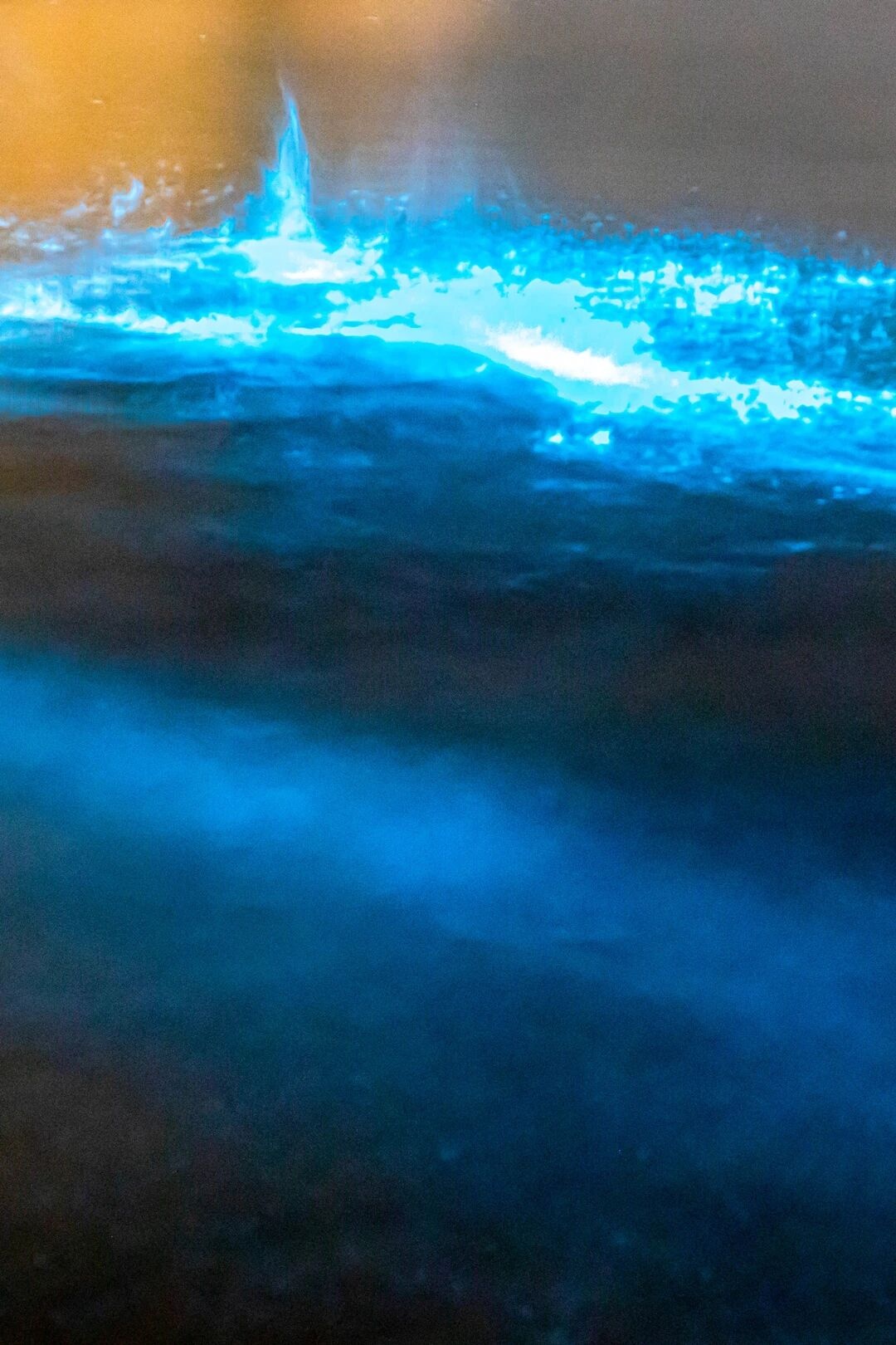 观鸟、赏花、追“蓝眼泪”……五一假期，来浙江解锁这些玩法！