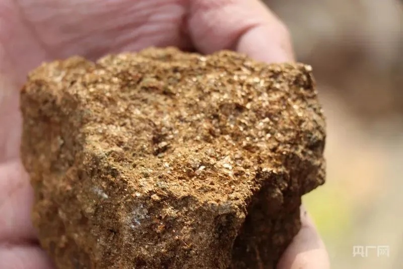 “爸爸，这座山下有黄金……”8岁男孩上山挖野菜发现金矿线索？后续来了→