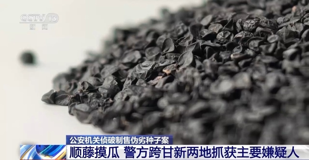 劣质种子出苗率不足三成 警方出手为农户挽损超850万元