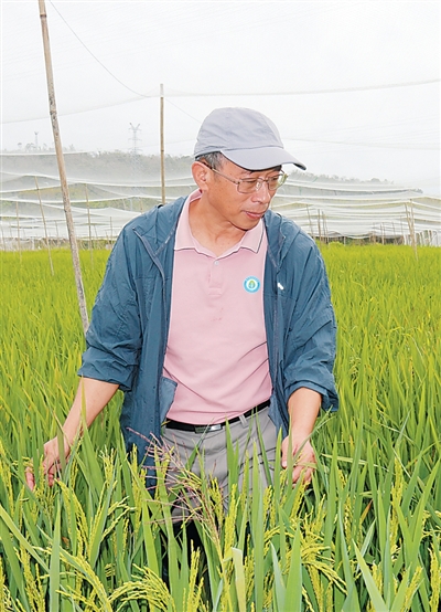 把代码“种”进泥土，人工智能大数据如何助力选种？