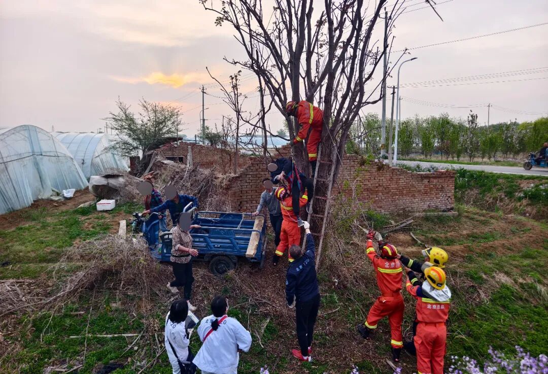 北京一男子深夜爬树被倒挂7小时……消防提醒！
