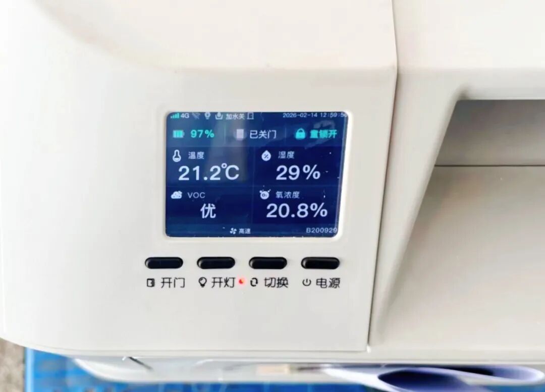 车厢里来了小猫咪！它们怎样“坐”高铁？