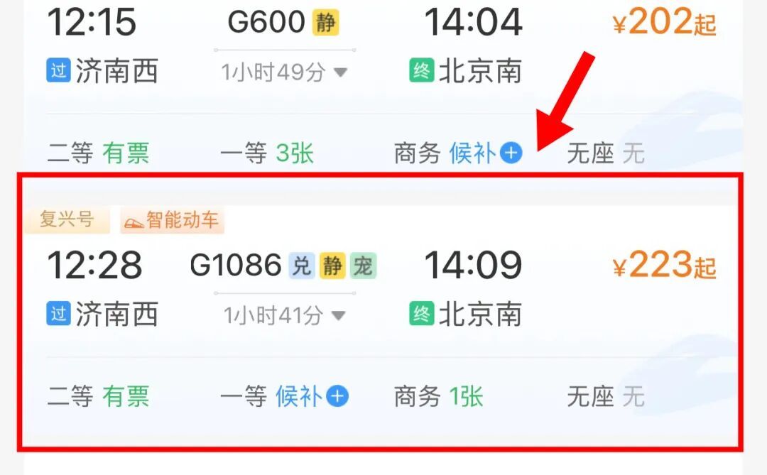 车厢里来了小猫咪！它们怎样“坐”高铁？
