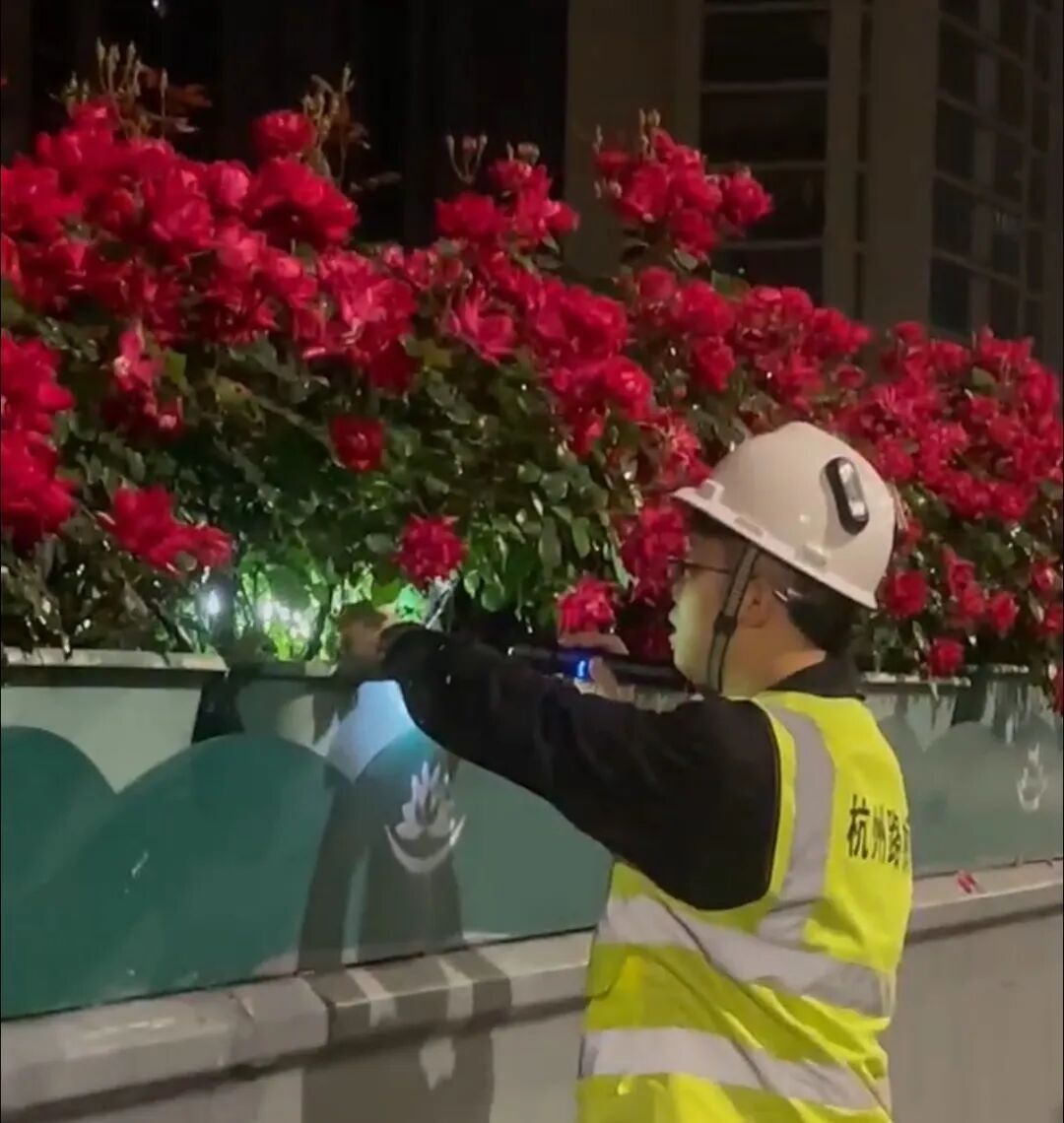 高架大量出现！杭州这一幕刷屏，网友：我有事去一趟！