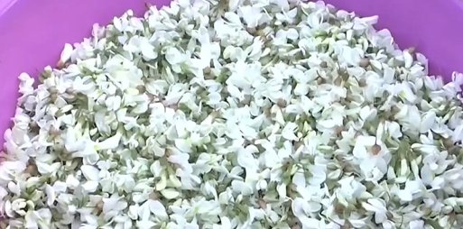 维生素C是苹果的10倍！现在吃它正合适，但要注意这些禁忌→