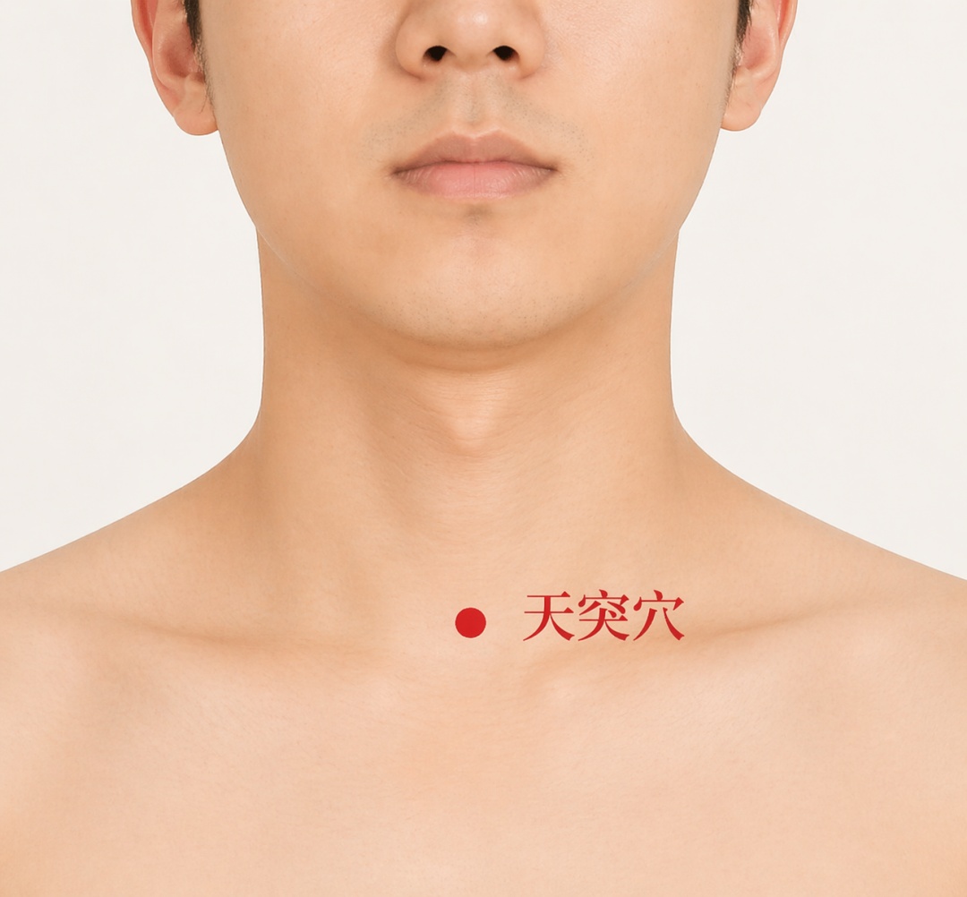 中医介绍5个化痰穴位！收藏这篇，帮肺部清痰减负→