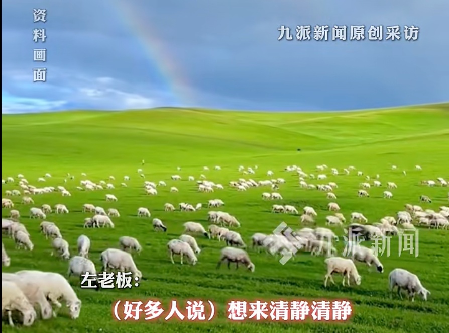 “月薪1.6万招放羊工”走红，老板发声→