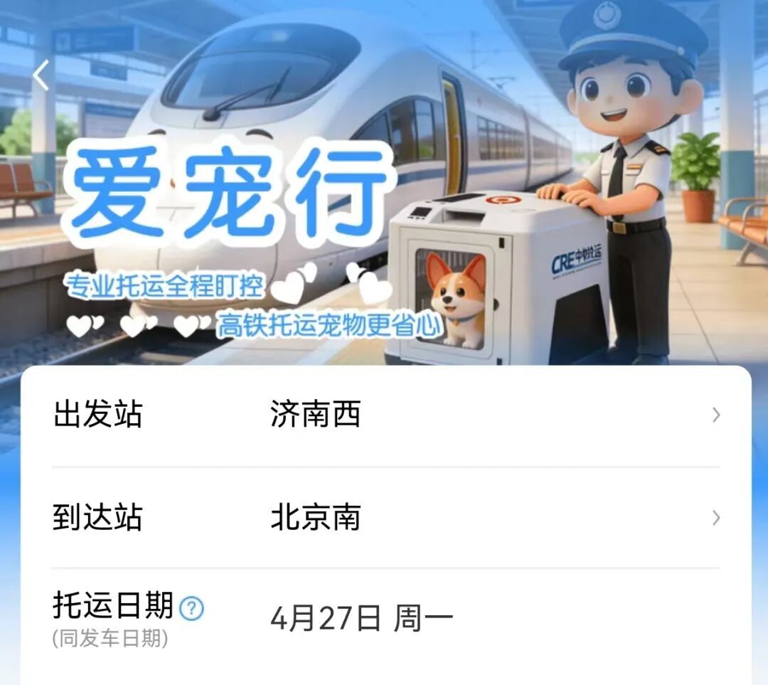 车厢里来了小猫咪！它们怎样“坐”高铁？