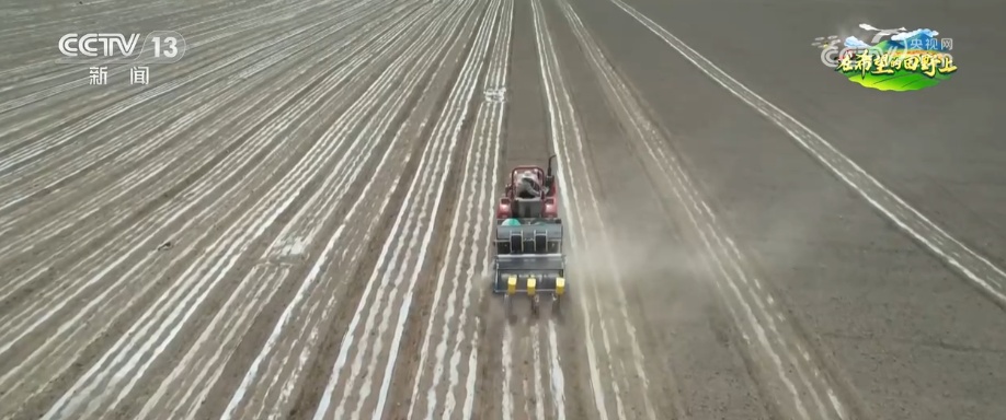 广袤田野生机无限 科技显身手为粮食稳产增收筑牢根基