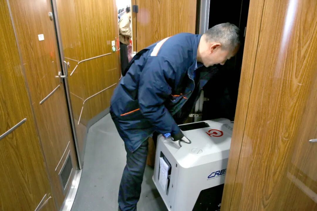 车厢里来了小猫咪！它们怎样“坐”高铁？