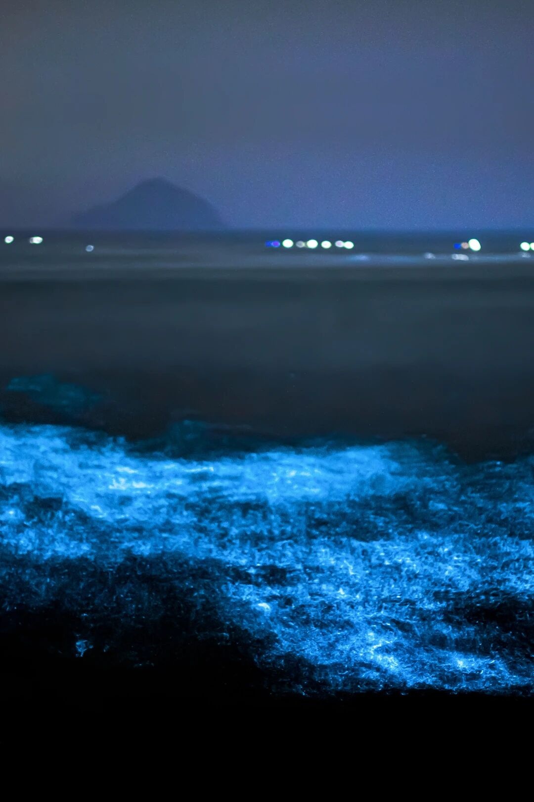 观鸟、赏花、追“蓝眼泪”……五一假期，来浙江解锁这些玩法！