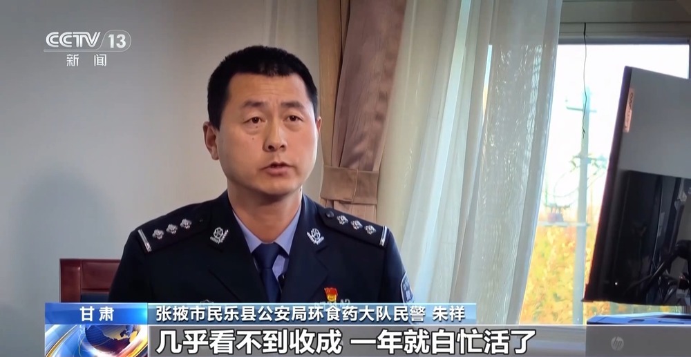 劣质种子出苗率不足三成 警方出手为农户挽损超850万元