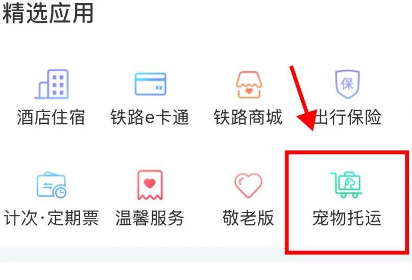 车厢里来了小猫咪！它们怎样“坐”高铁？