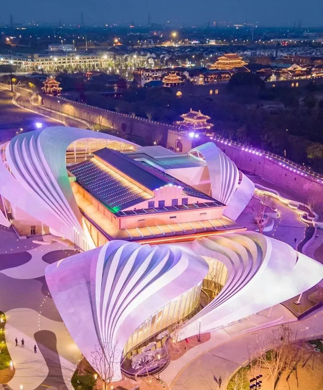 观鸟、赏花、追“蓝眼泪”……五一假期，来浙江解锁这些玩法！