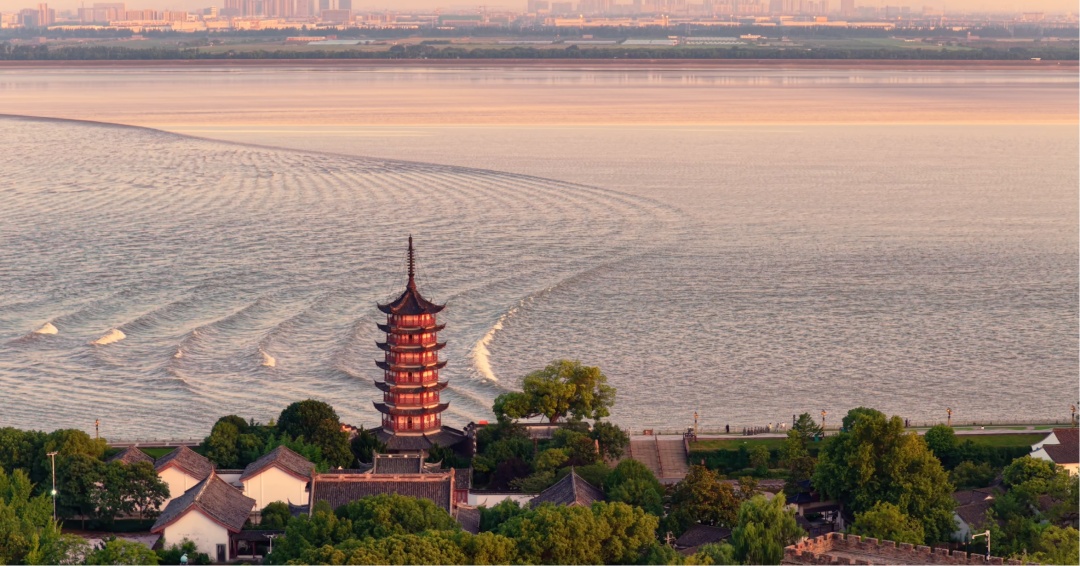 观鸟、赏花、追“蓝眼泪”……五一假期，来浙江解锁这些玩法！