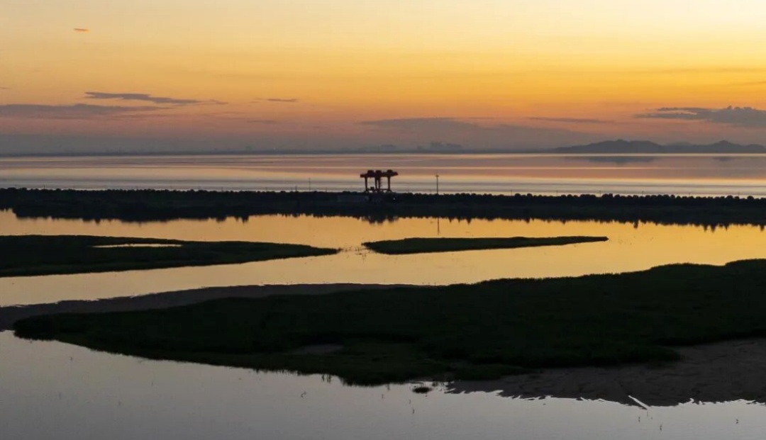 观鸟、赏花、追“蓝眼泪”……五一假期，来浙江解锁这些玩法！
