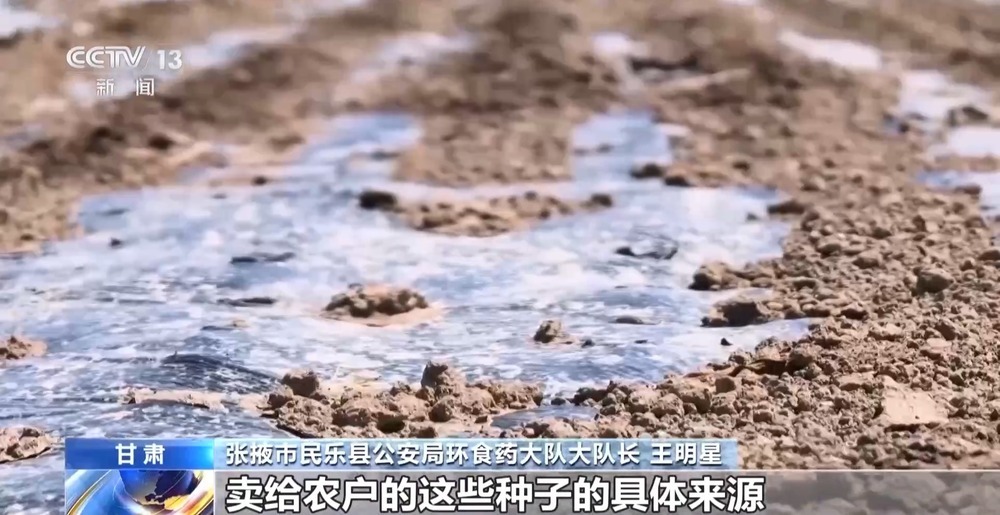 劣质种子出苗率不足三成 警方出手为农户挽损超850万元