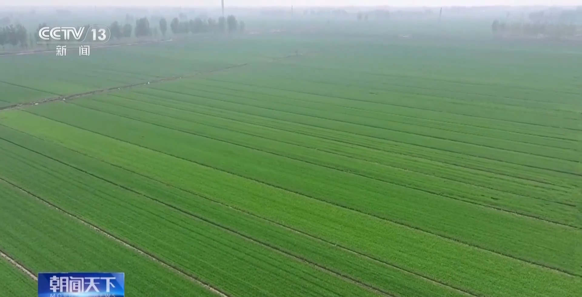 超万亿元 一季度新增专项债券发行数据出炉