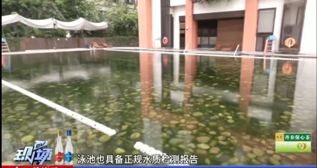 “无消毒水、跟鱼虾一起游泳、纯野生......” 深圳这泳池火了