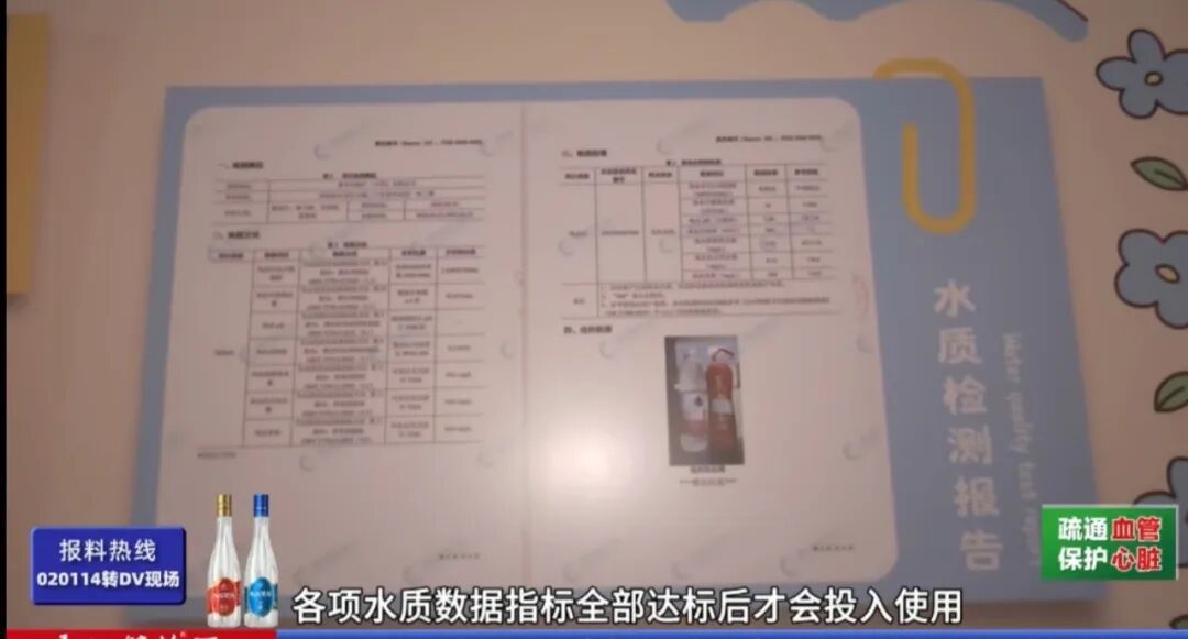 “无消毒水、跟鱼虾一起游泳、纯野生......” 深圳这泳池火了