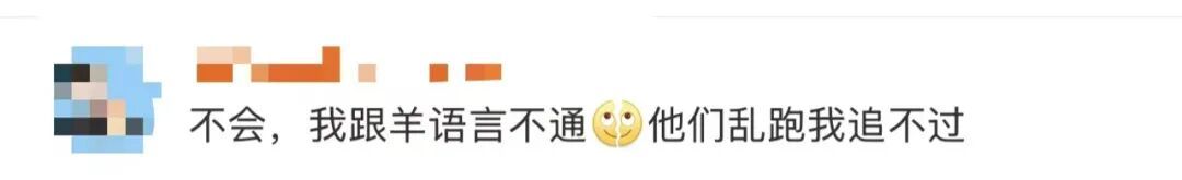 “月薪1.6万招放羊工”走红，老板发声→