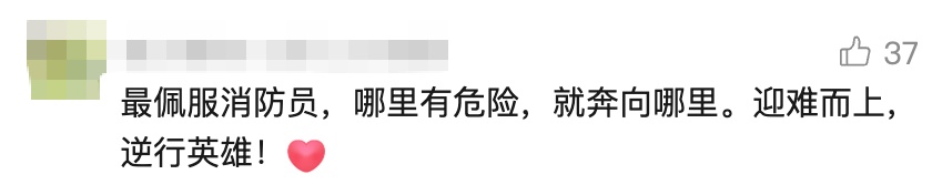 太惊悚! 小轿车内惊现巨型眼镜王蛇, 体长近3米, 6斤重! 蛇到处乱窜, 最终…