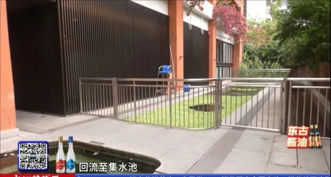 “无消毒水、跟鱼虾一起游泳、纯野生......” 深圳这泳池火了