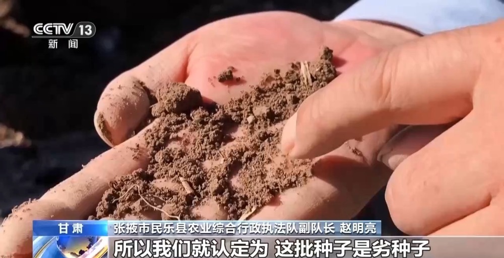 劣质种子出苗率不足三成 警方出手为农户挽损超850万元