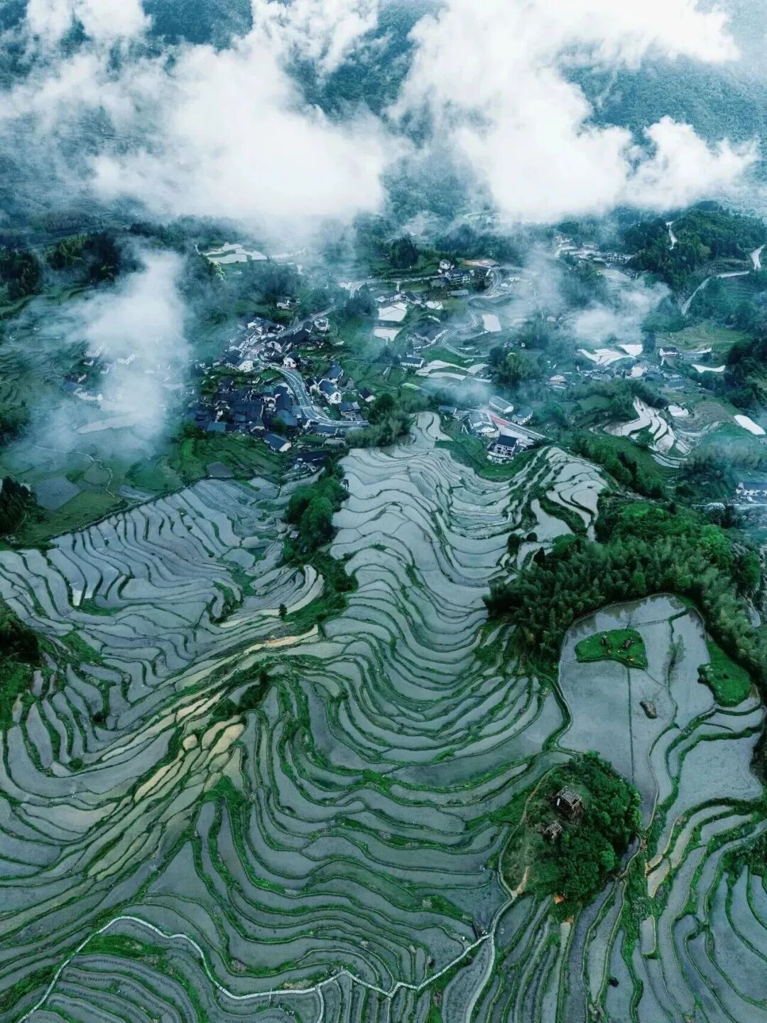 观鸟、赏花、追“蓝眼泪”……五一假期，来浙江解锁这些玩法！