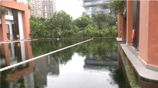 “无消毒水、跟鱼虾一起游泳、纯野生......” 深圳这泳池火了