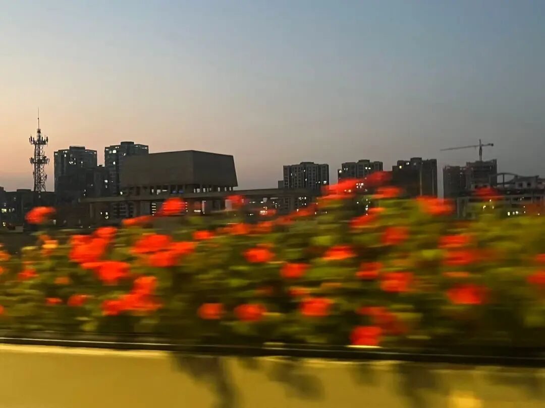 高架大量出现！杭州这一幕刷屏，网友：我有事去一趟！