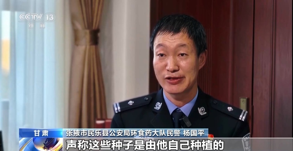 劣质种子出苗率不足三成 警方出手为农户挽损超850万元