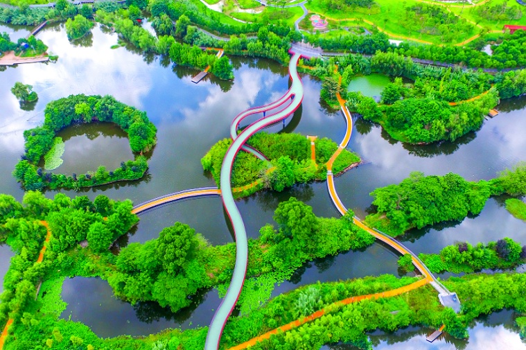 观鸟、赏花、追“蓝眼泪”……五一假期，来浙江解锁这些玩法！