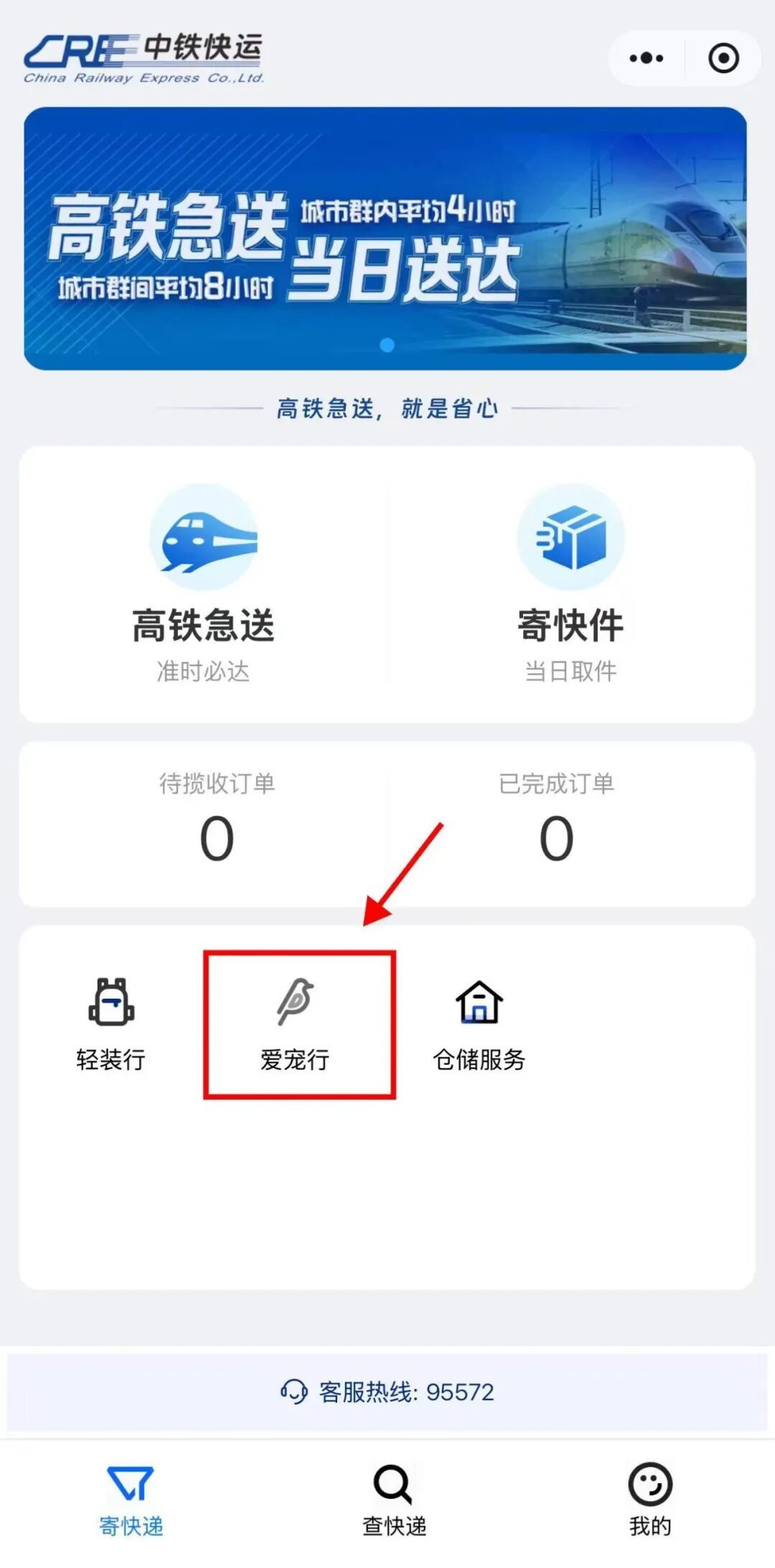 车厢里来了小猫咪！它们怎样“坐”高铁？
