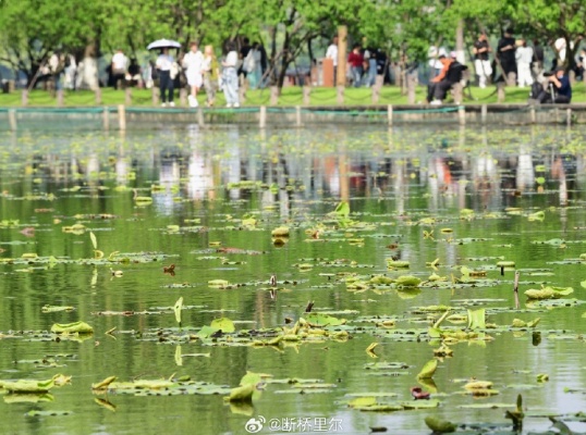 暴跌！极限大反转 杭州人凌乱了：像变脸一样！这波很猛，做好准备