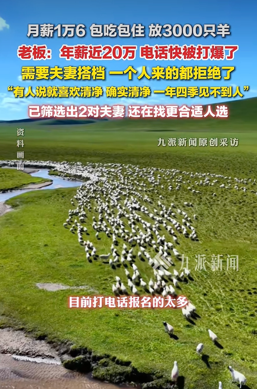 “月薪1.6万招放羊工”走红，老板发声→