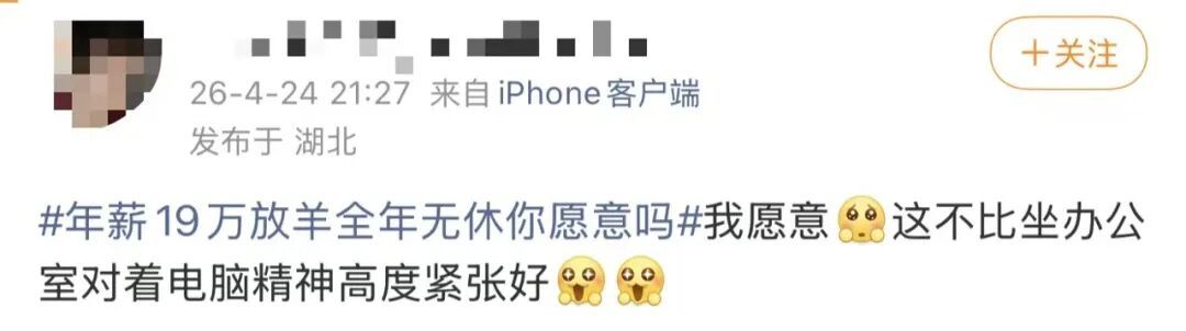 “月薪1.6万招放羊工”走红，老板发声→