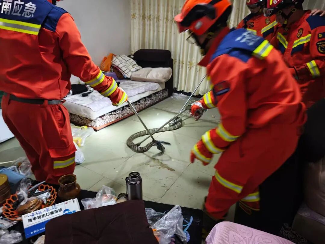 女子亲眼看见一团黑影闯进卧室，查看监控后立马报警求救！