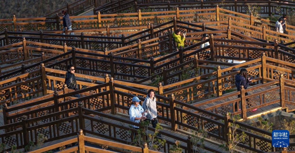 满目青绿映拉萨 南山观景正当时