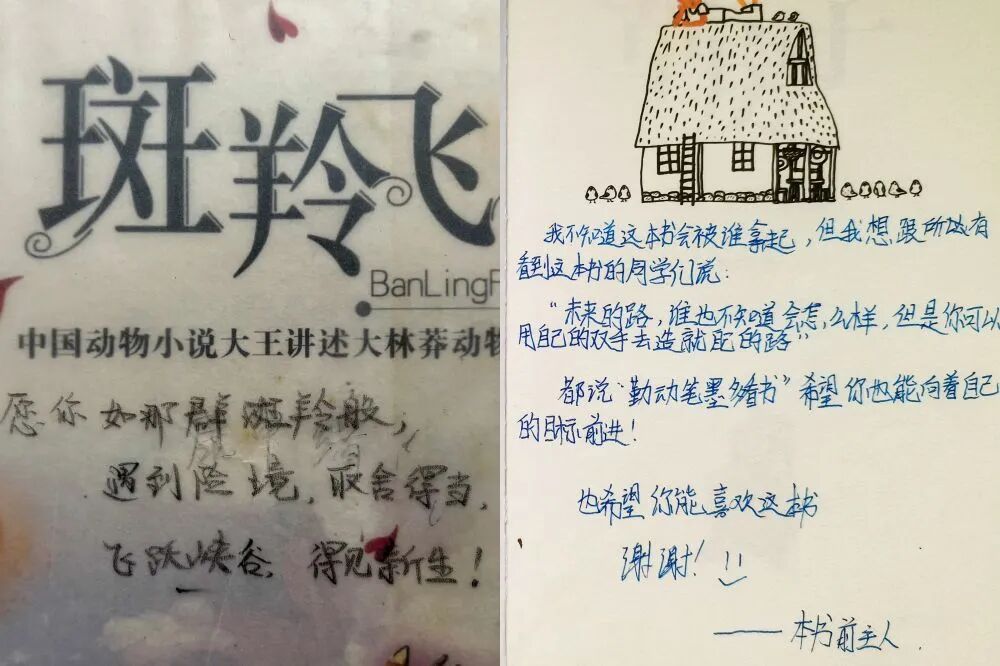 “我是来自上海的大姐姐，想和你交个朋友”
