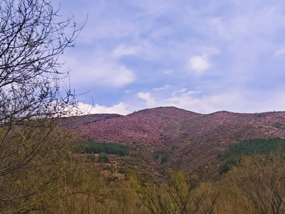 雨夹雪+大降温！内蒙古天气过山车：29日暖热回归，月底再迎冷空气
