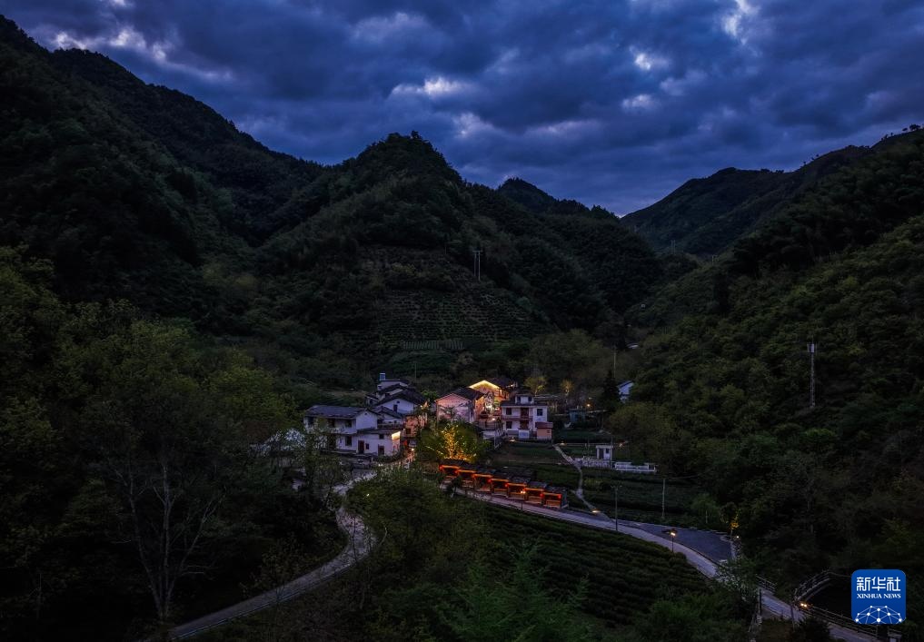 百亩高山杜鹃迎客来