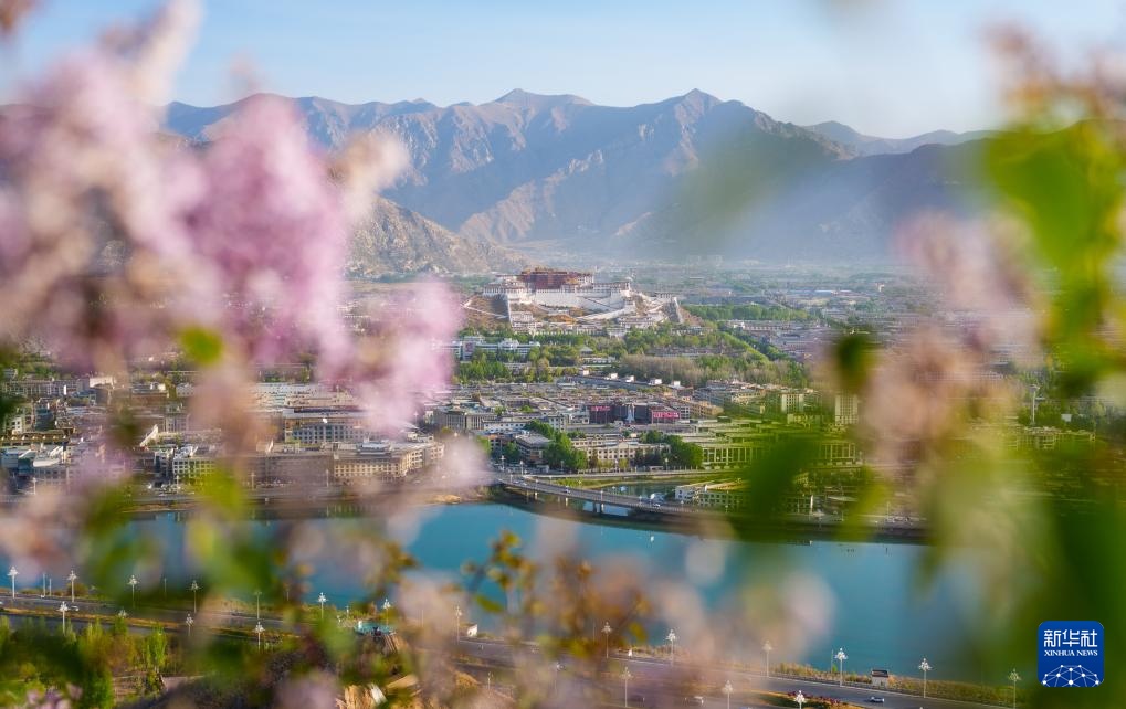 满目青绿映拉萨 南山观景正当时