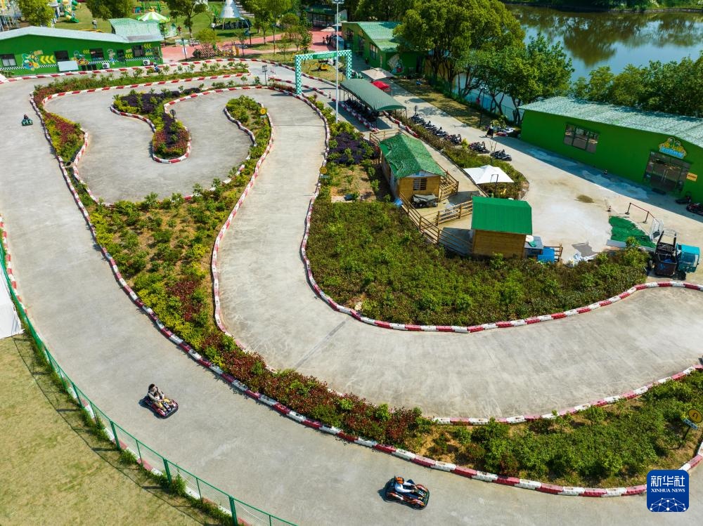 经济大省调研行丨浙江杭州：乡村里火热的“春日经济”