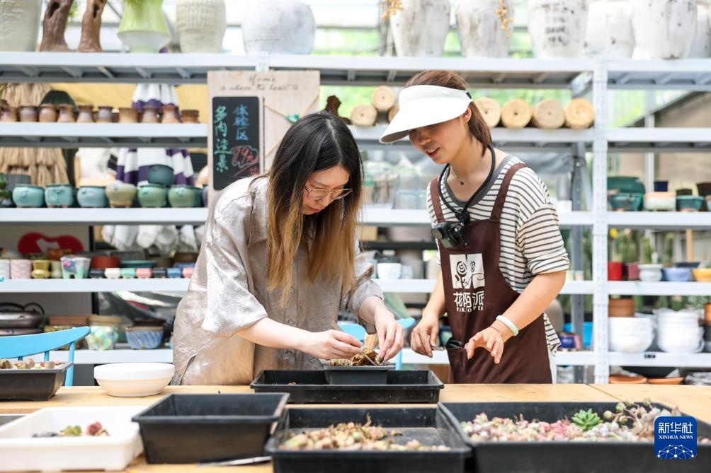 经济大省调研行丨浙江杭州：乡村里火热的“春日经济”
