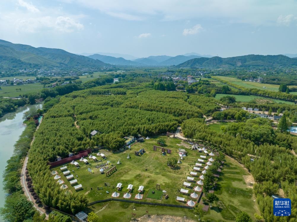 经济大省调研行丨浙江杭州：乡村里火热的“春日经济”