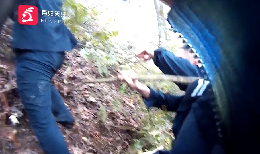贵州八旬老人上山采药，被卡树枝失联一夜，最后：汪汪队立大功