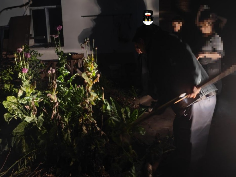 路边几朵“漂亮花”，初中生一个操作直接立大功！